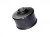 Suspension Bushing Suspension Bushing:MB111041