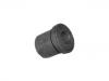 Suspension Bushing:55046-01W10