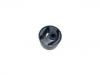 Suspension Bushing:21834-24800