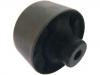 悬架衬套 Control Arm Bushing:4120A001