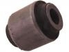 Control Arm Bushing:55152-WL000