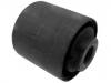 Control Arm Bushing:55045-0W011