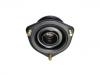 Strut Mount:54320-35F00