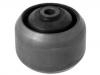 Suspension Bushing Suspension Bushing:55501-AV605