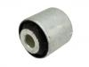 悬架衬套 Suspension Bushing:54552-3M000