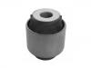 Suspension Bushing Suspension Bushing:55118-2W100