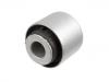 Suspension Bushing:55253-D3000